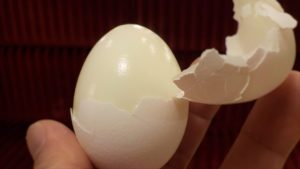 hard-boiled-eggs-1129698_1280